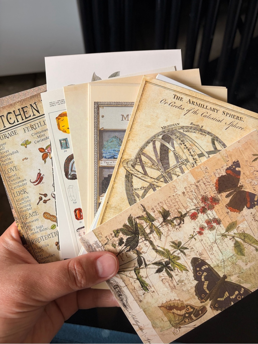 Vintage Botanical & Natural History Print Set - Beige Tones